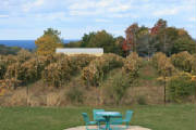 img3713.jpg