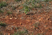 img3731.jpg