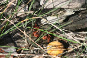 tn_img_5315.jpg