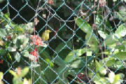 tn_img_5318.jpg
